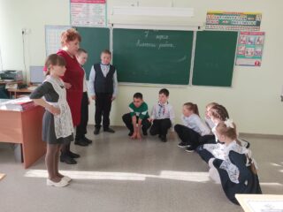 Здоровая молодежь-здоровая Россия.