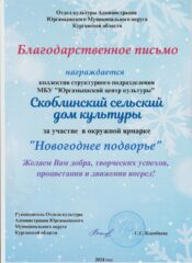 Наши достижения за 2024 год.